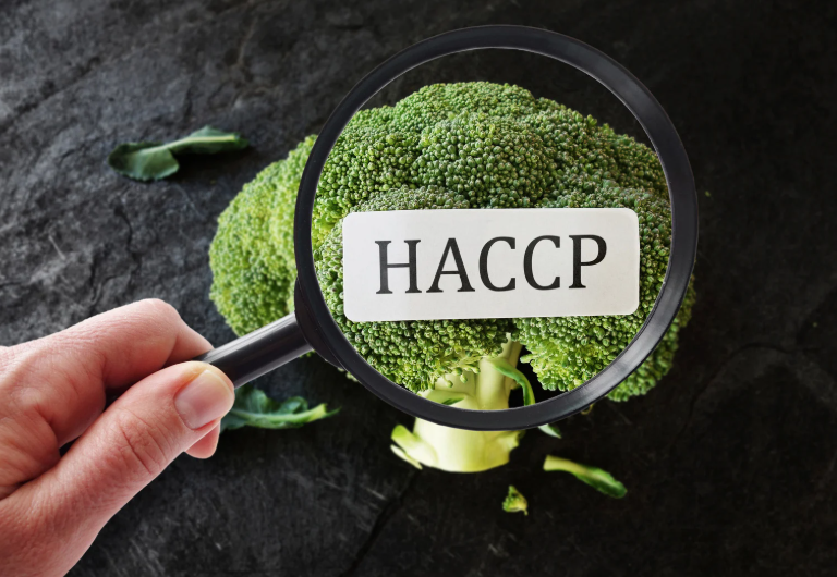 Differenze tra ex libretto sanitario e certificazione HACCP
